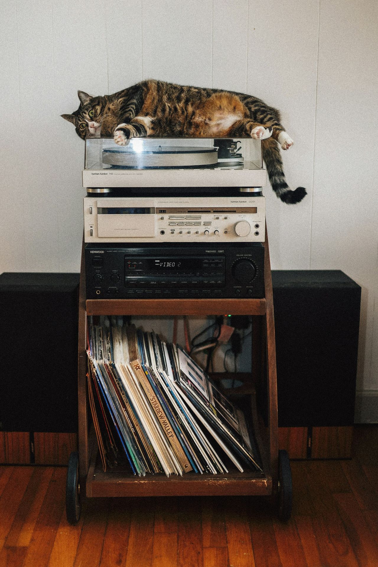 A cat that is laying on top of a record player