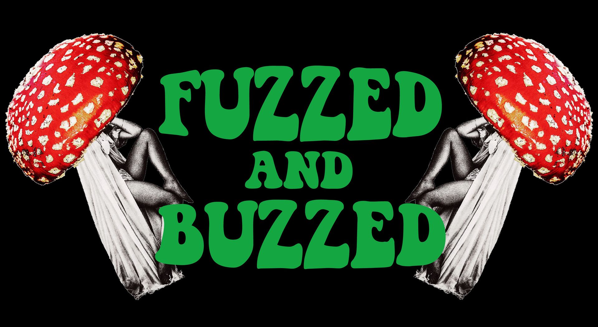 Fuzzed and Buzzed promoter spotlight