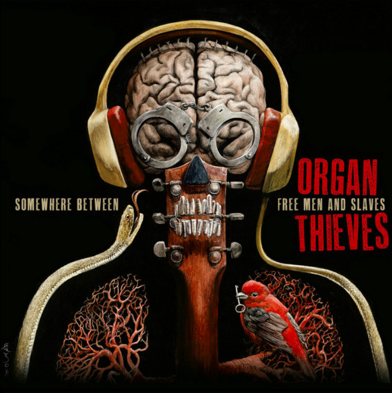 ORGAN THIEVES - SOMEWHERE BETWEEN FREE MEN & SLAVES (CD)