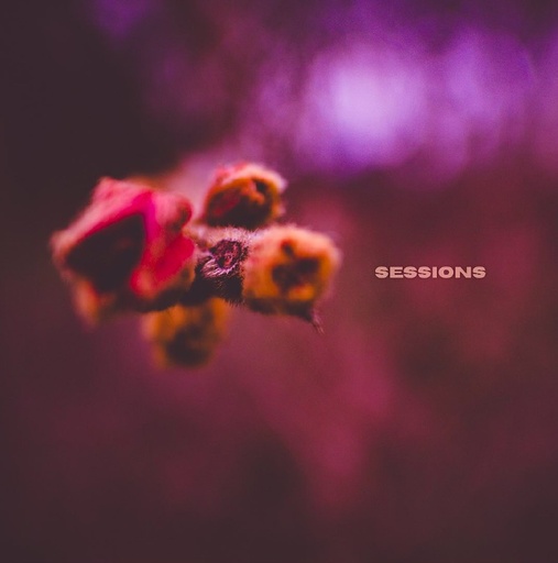 SESSIONS - SELF TITLED EP (VINYL)